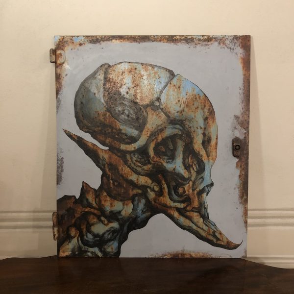 Untitled <br><h5> Dissenso Cognitivo </h5>
