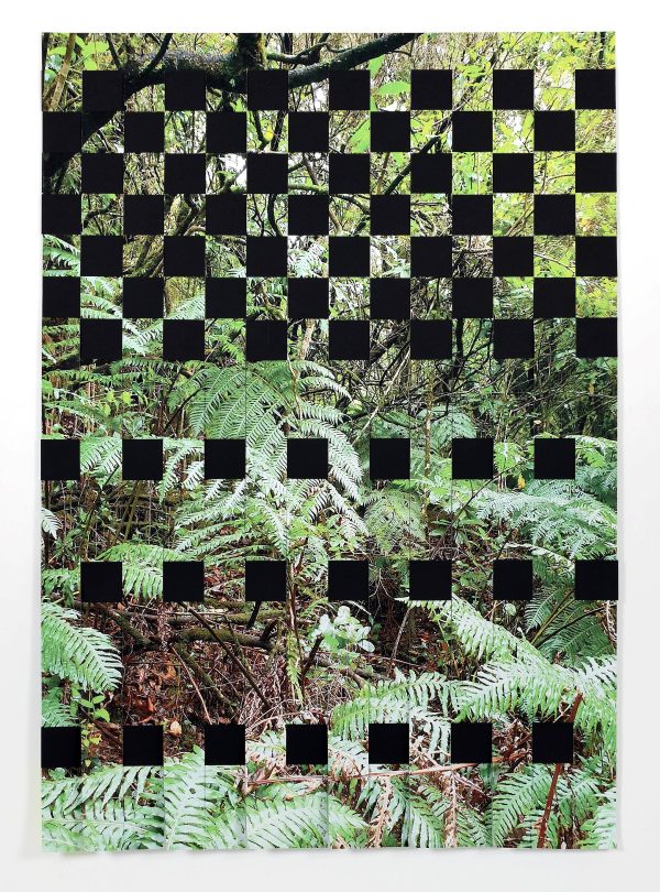 Laurasilva Forest<br><h5> Giorgia Severi </h5>